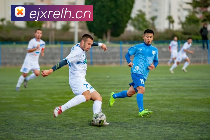 开云kaiyun官网发展历程